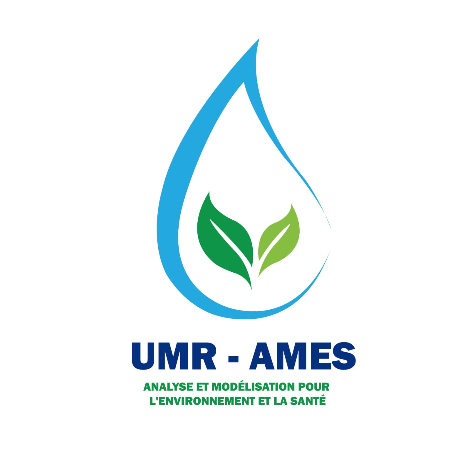 صورة المقال