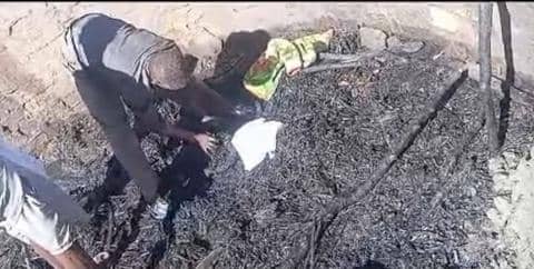 الصورة الرئيسية للمقال