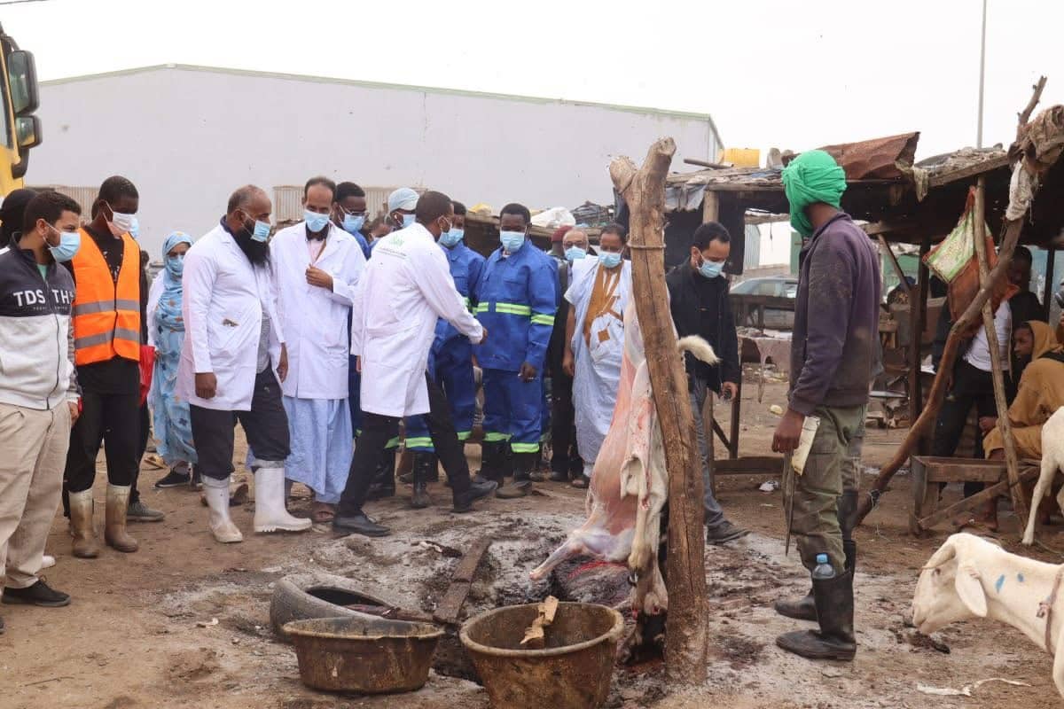 الصورة الرئيسية للمقال