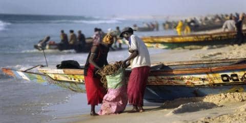 الصورة الرئيسية للمقال