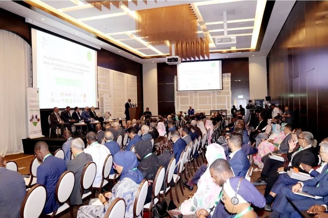 صورة المقال