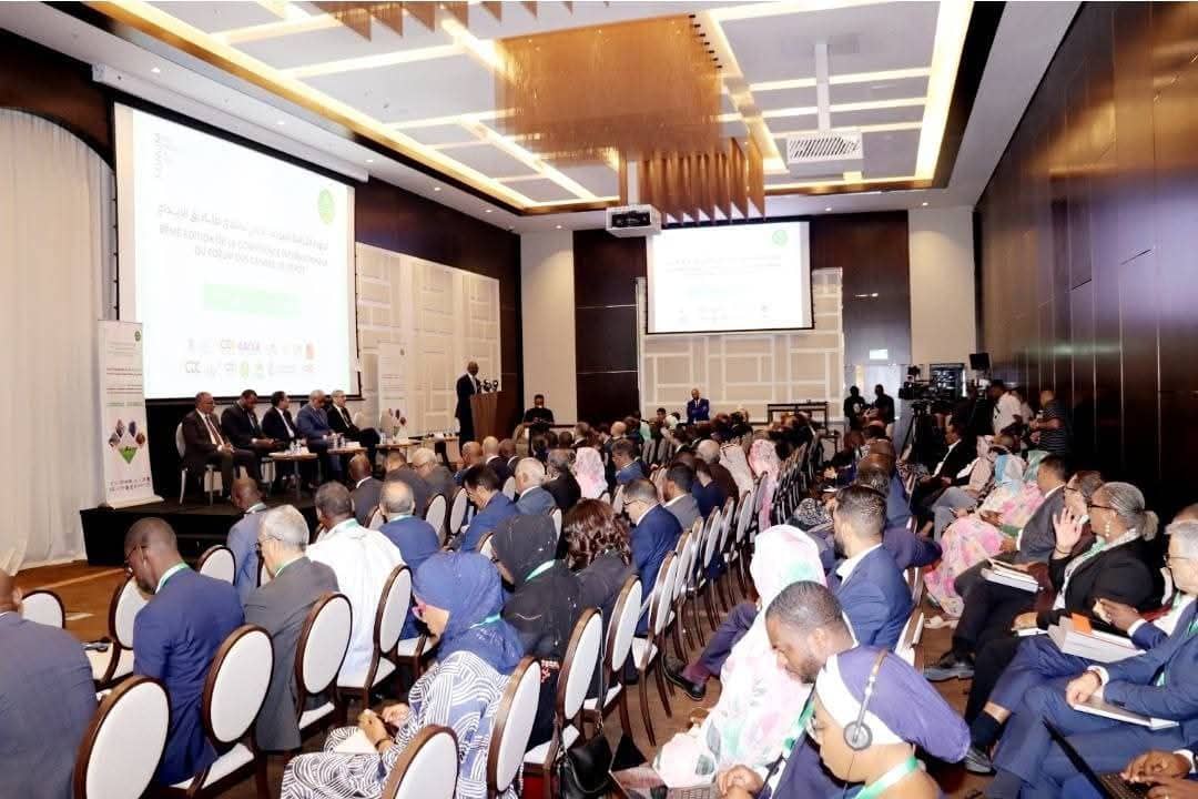 الصورة الرئيسية للمقال