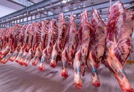 الصورة الرئيسية للمقال