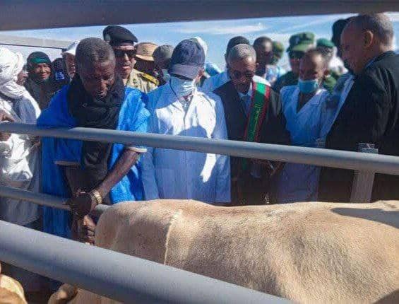 الصورة الرئيسية للمقال