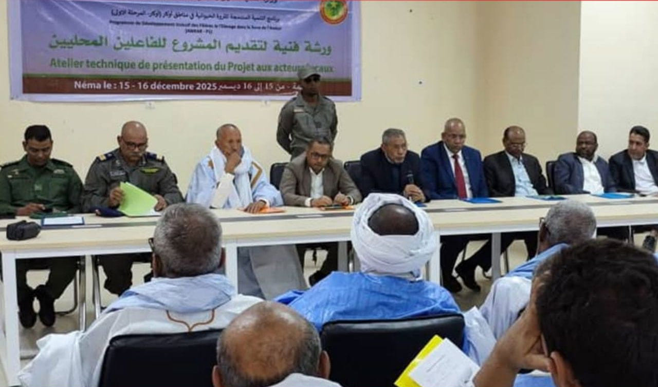 صورة المقال