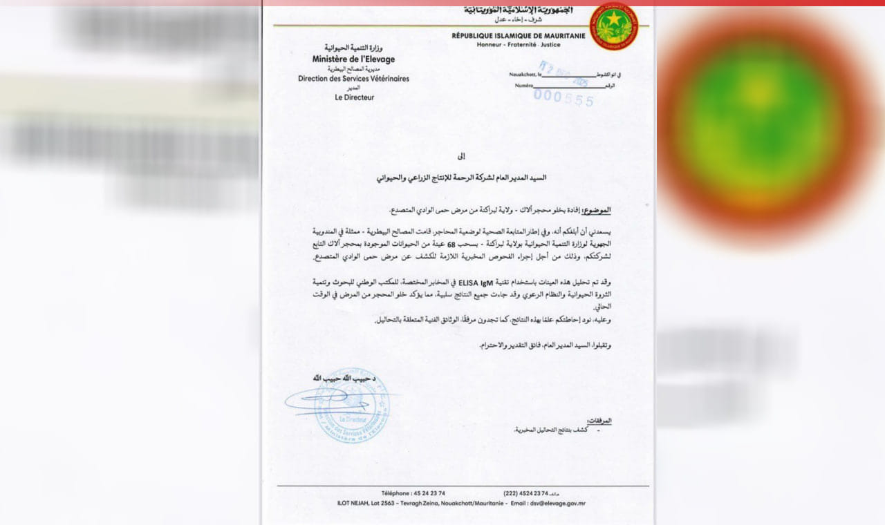 صورة المقال