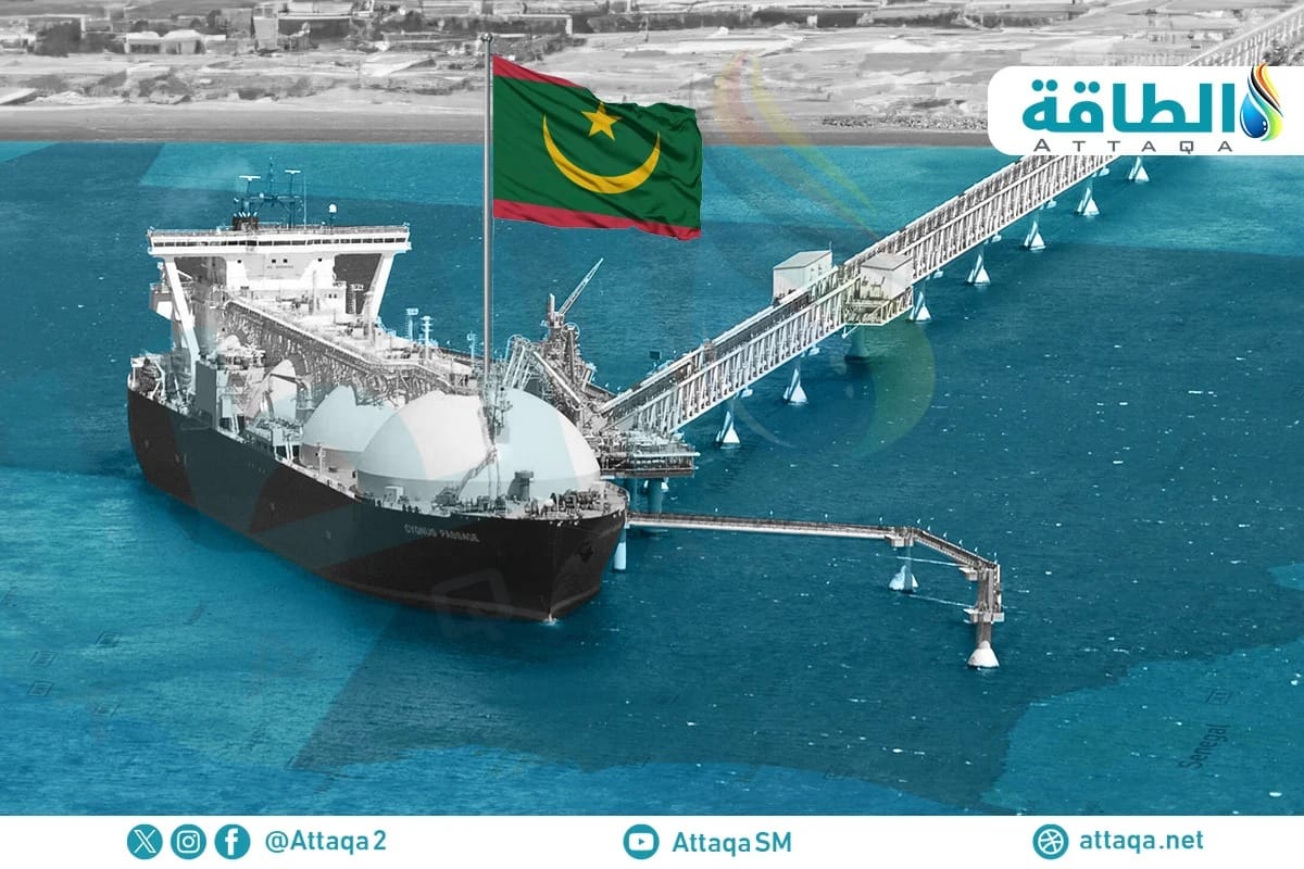 صورة المقال