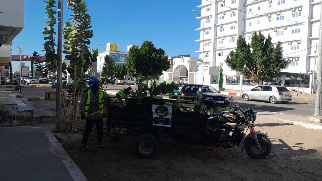 الصورة الرئيسية للمقال