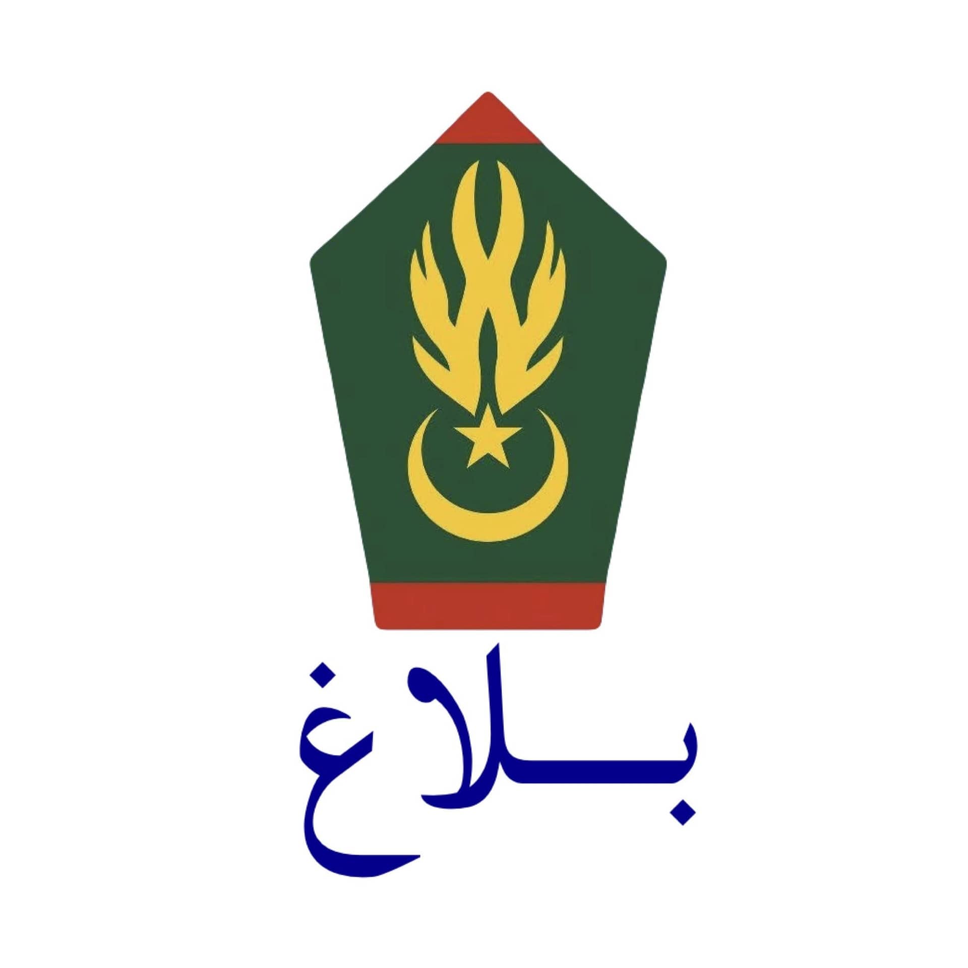 الصورة الرئيسية للمقال