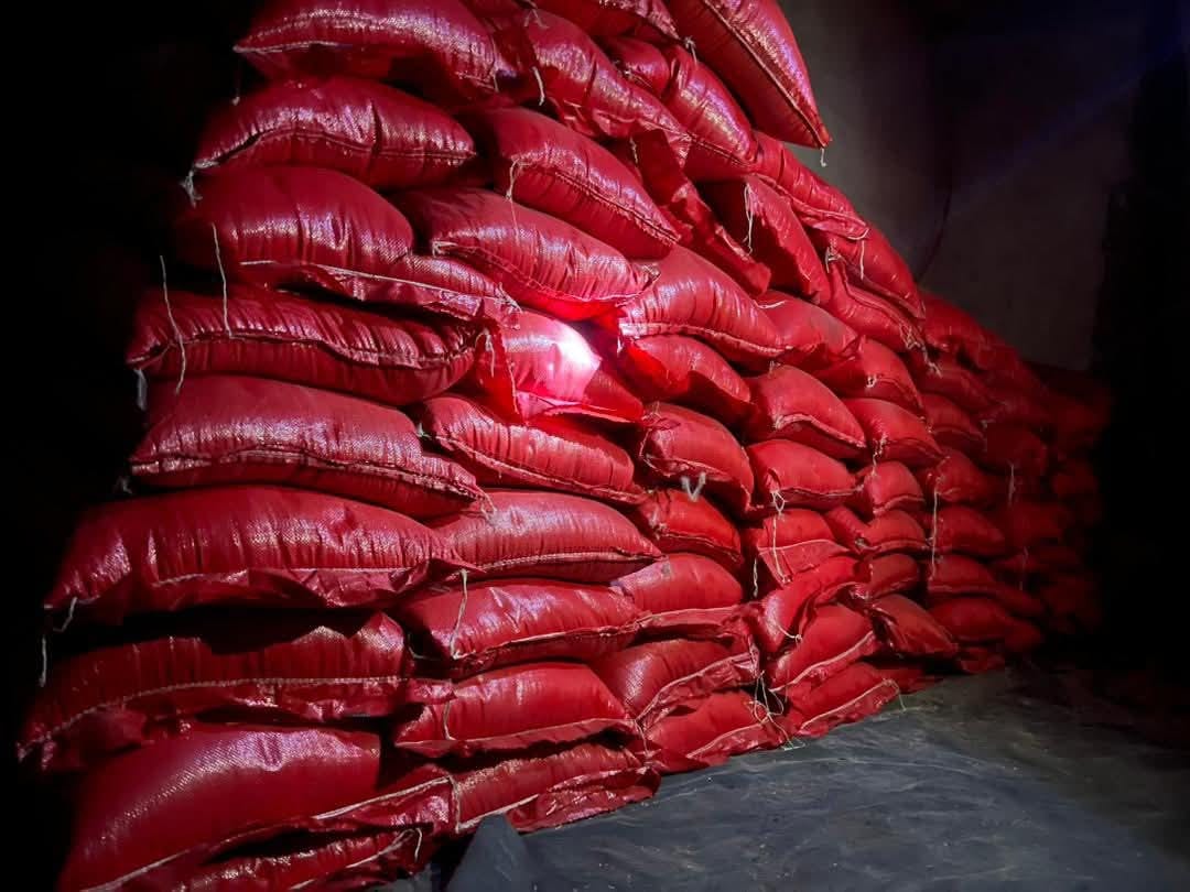 صورة المقال