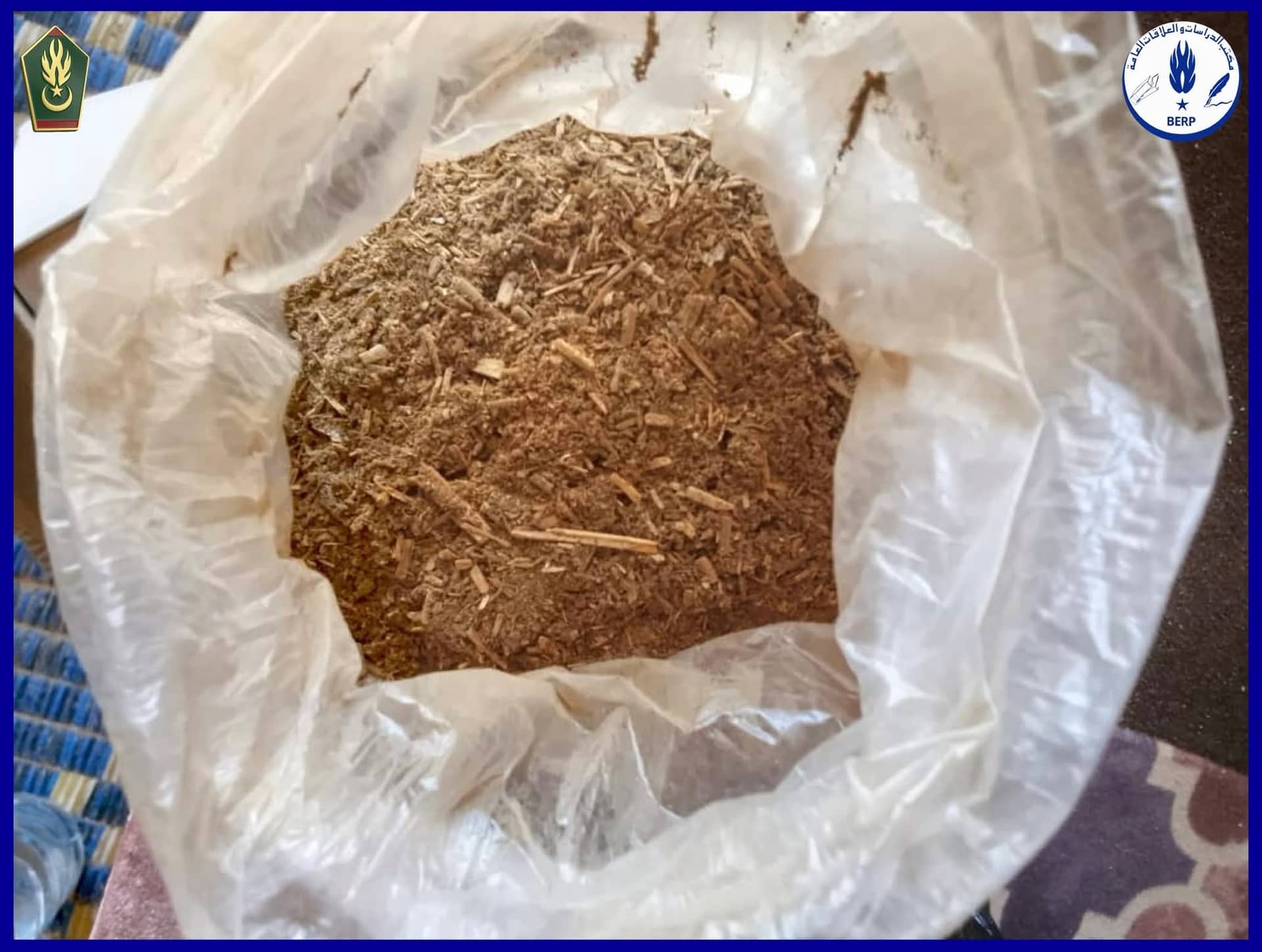 الصورة الرئيسية للمقال