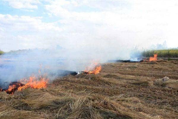 الصورة الرئيسية للمقال