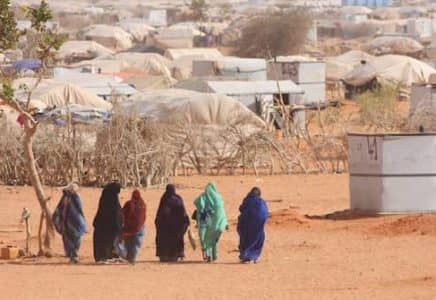 الصورة الرئيسية للمقال