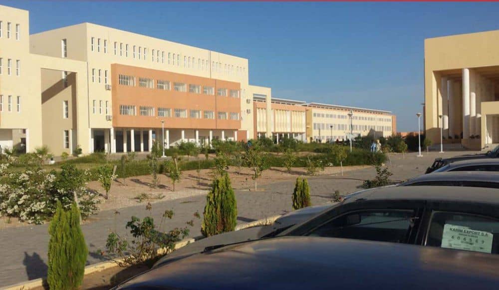 الصورة الرئيسية للمقال