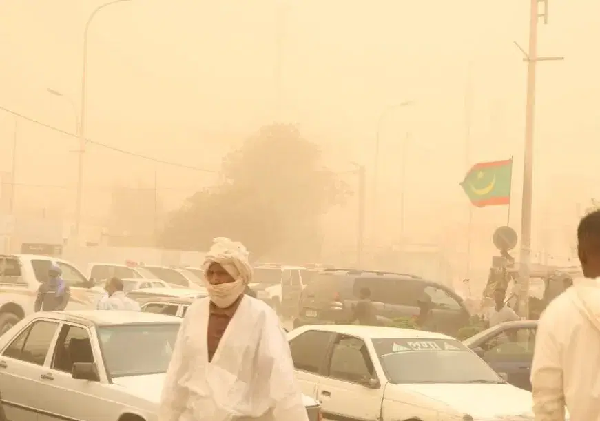 الصورة الرئيسية للمقال