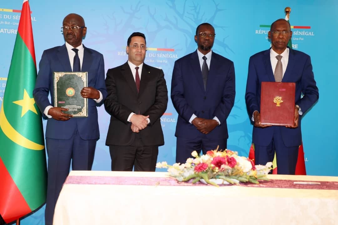 الصورة الرئيسية للمقال