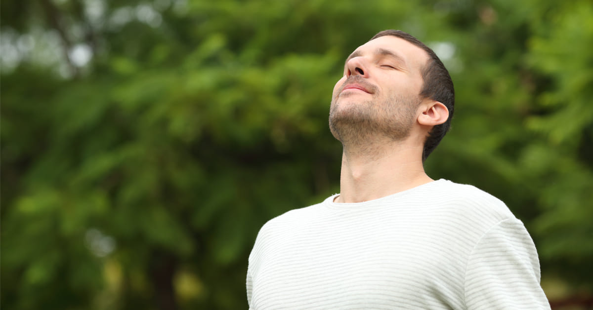 صورة المقال