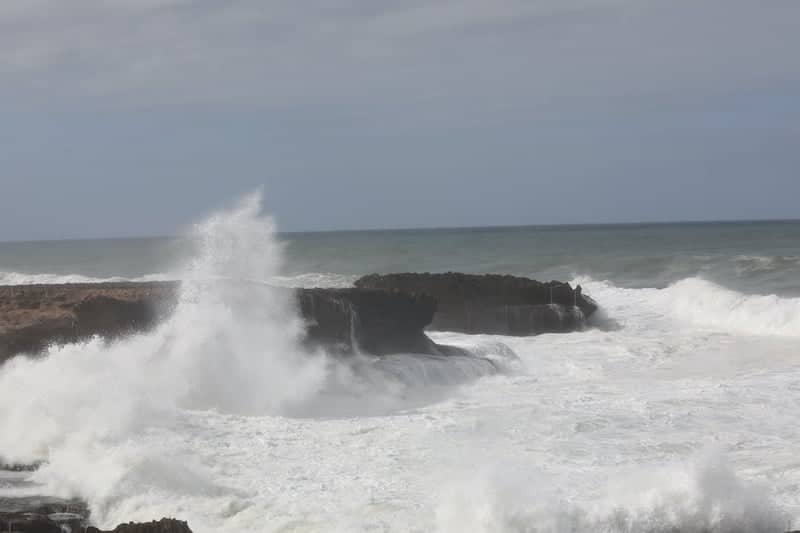 الصورة الرئيسية للمقال