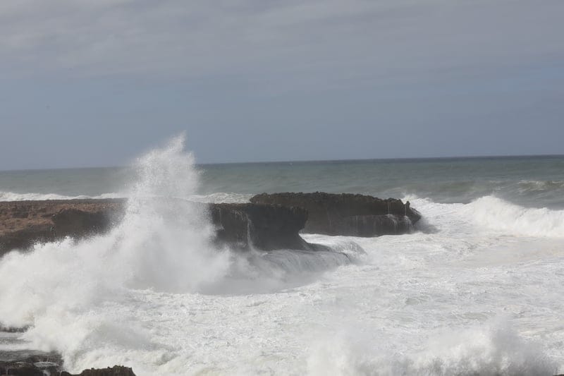 صورة المقال