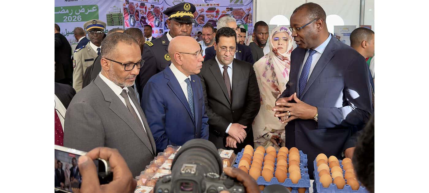 صورة المقال