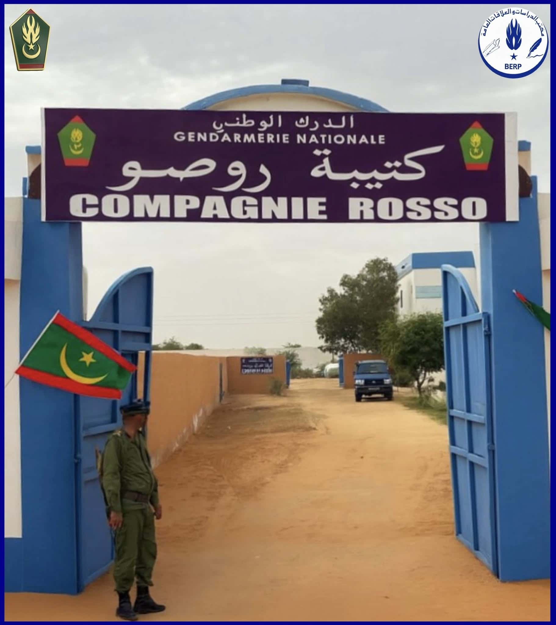 صورة المقال