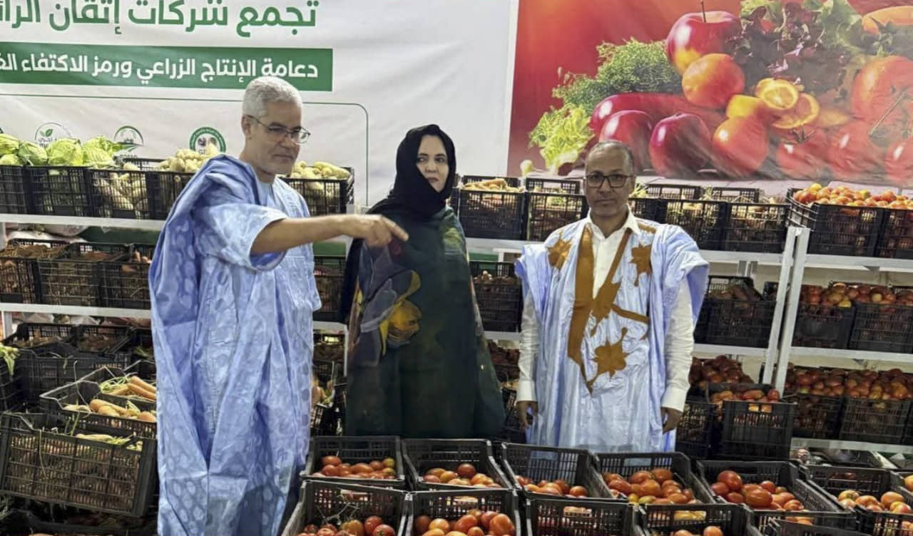 الصورة الرئيسية للمقال