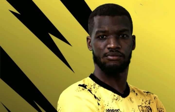 صورة المقال