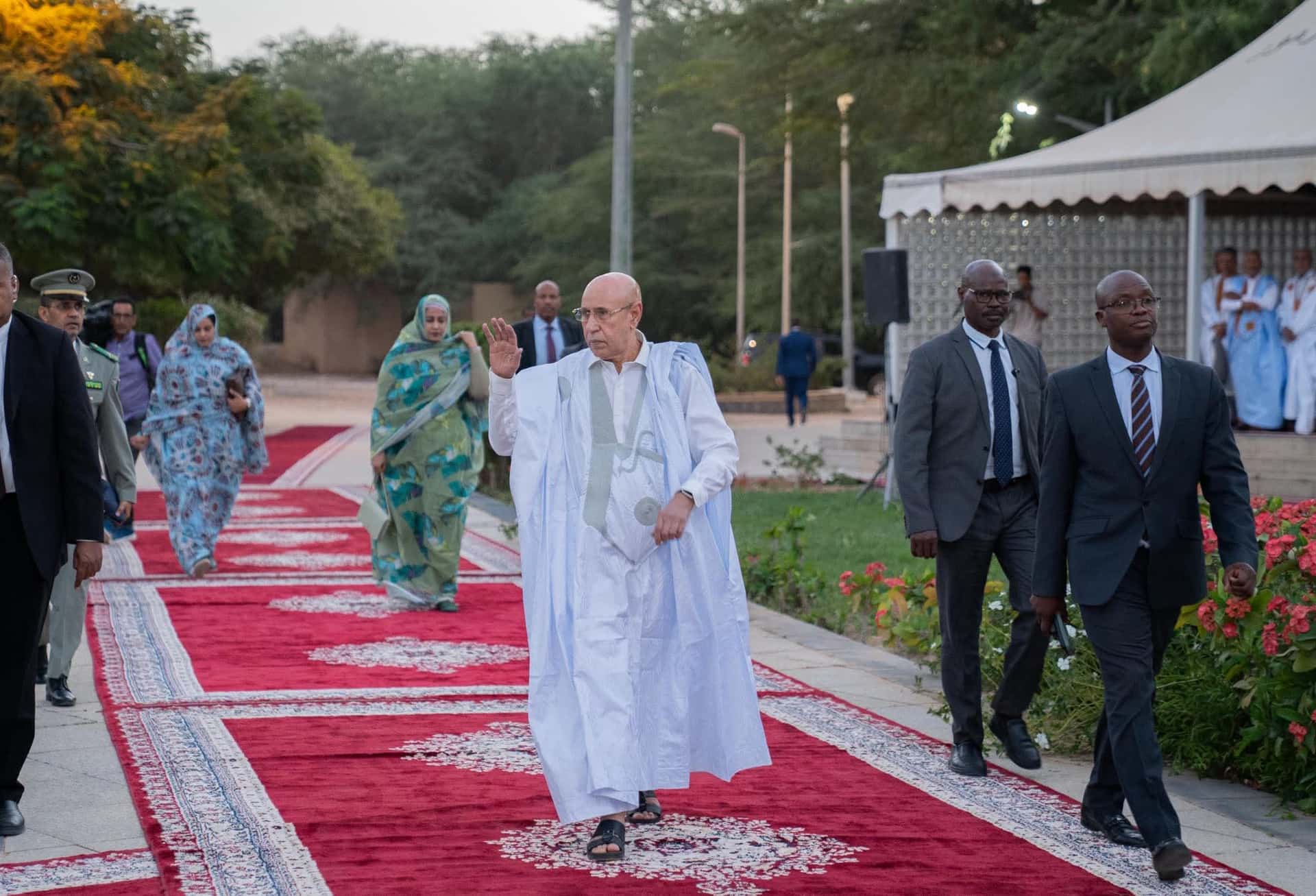 صورة المقال