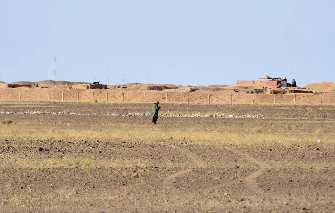 الصورة الرئيسية للمقال