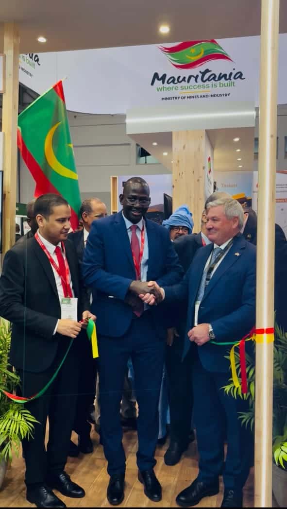 صورة المقال