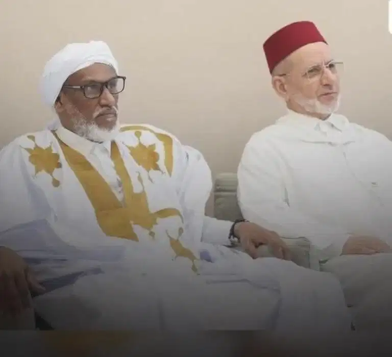 صورة المقال