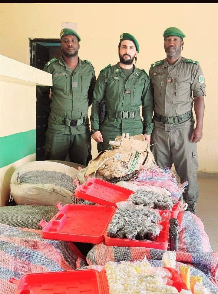 صورة المقال