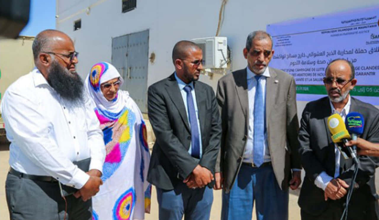 صورة المقال