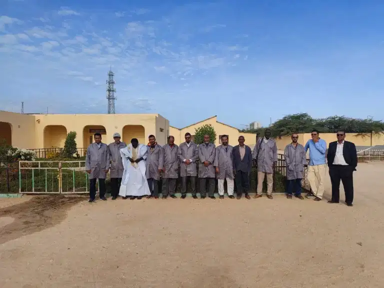 صورة المقال