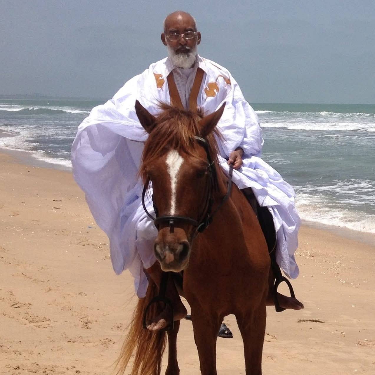 الصورة الرئيسية للمقال