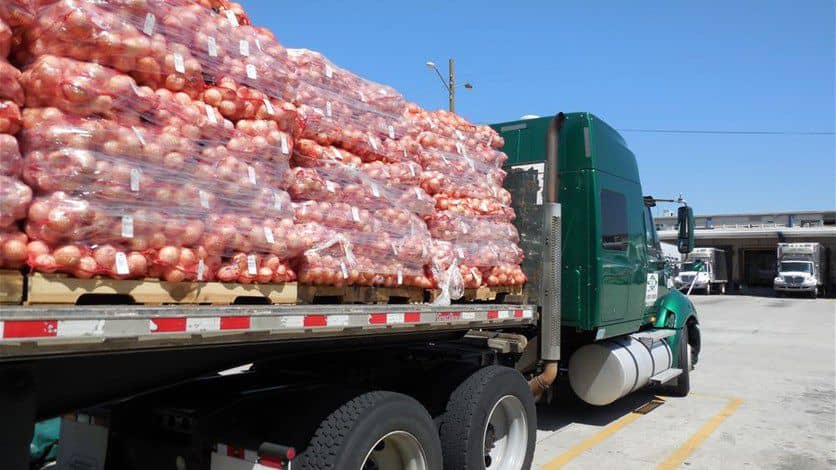 الصورة الرئيسية للمقال