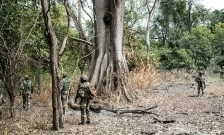 صورة المقال