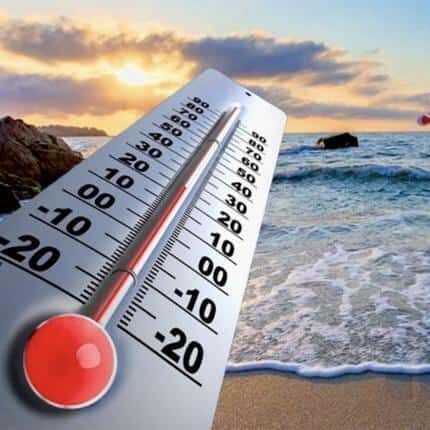 صورة المقال