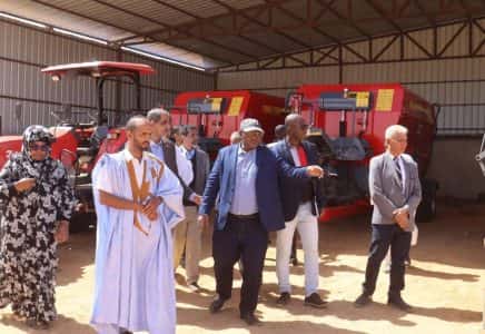 صورة المقال