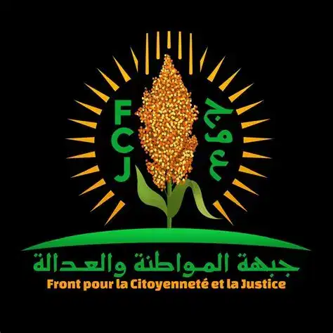 صورة المقال