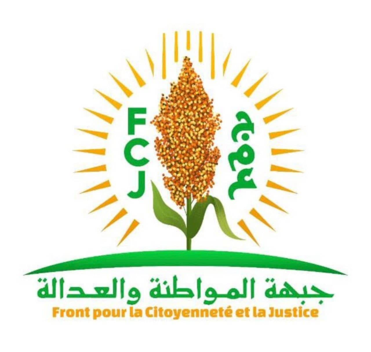 الصورة الرئيسية للمقال