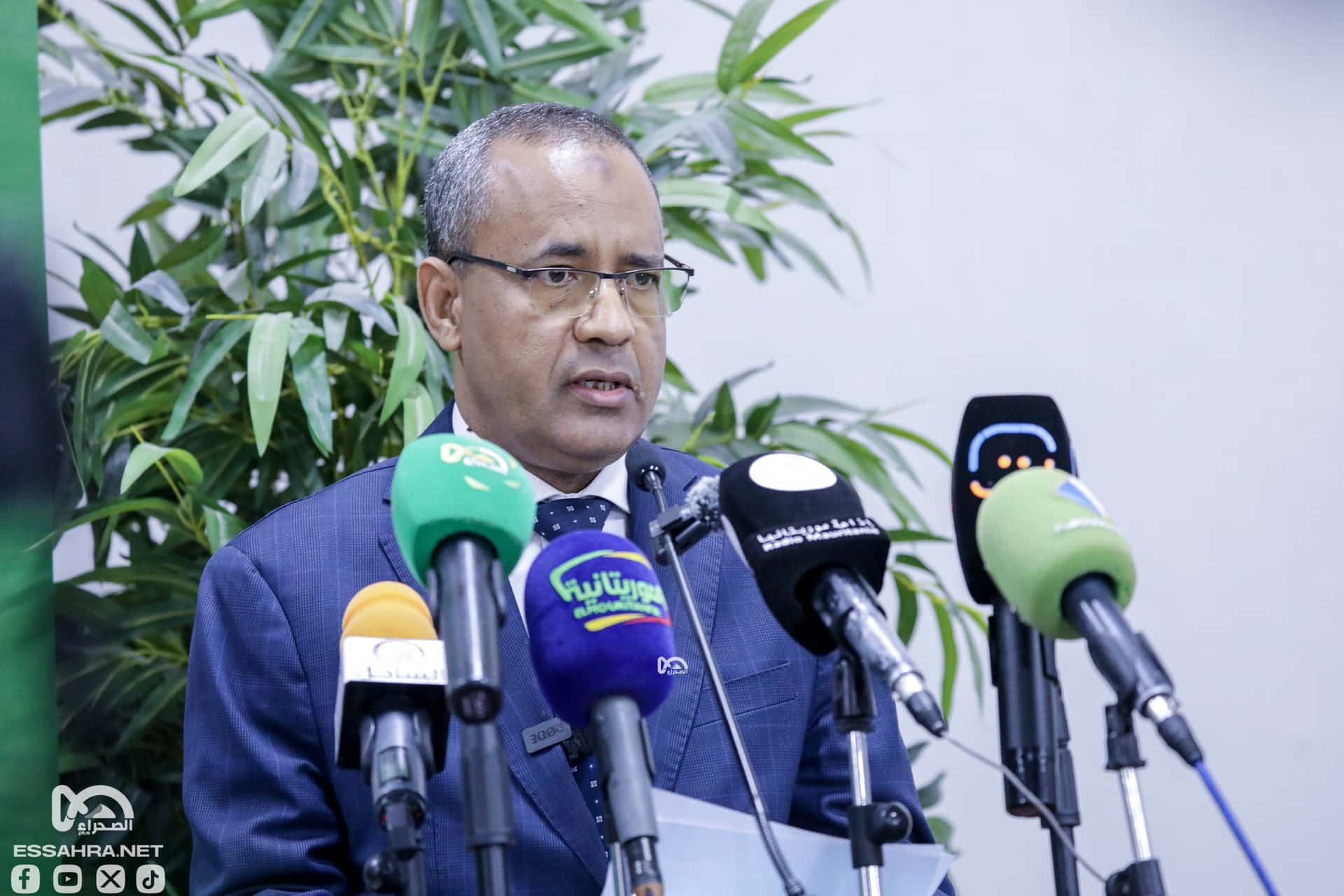 صورة المقال