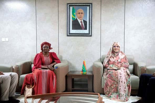 صورة المقال