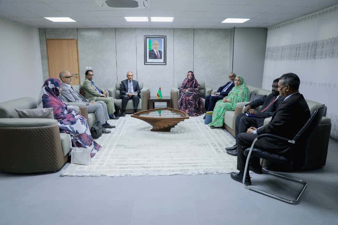 صورة المقال