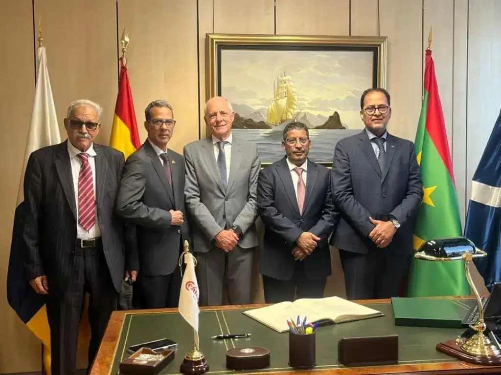 صورة المقال