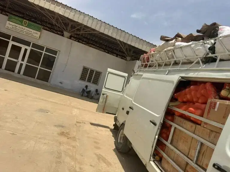 الصورة الرئيسية للمقال