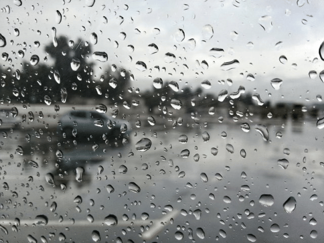 صورة المقال