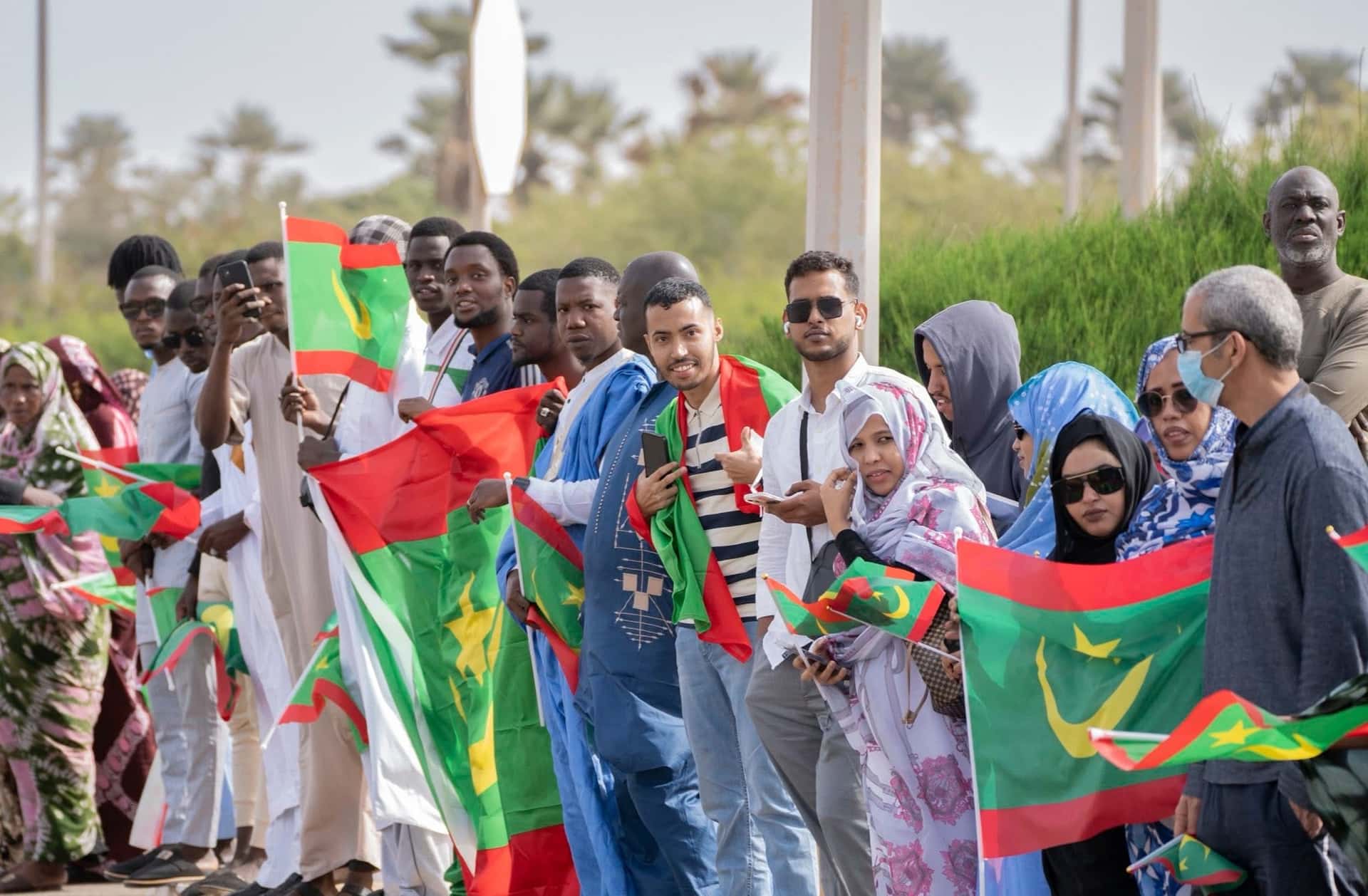 صورة المقال