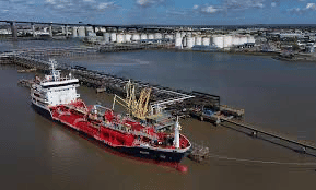 صورة المقال