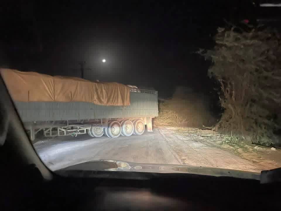 الصورة الرئيسية للمقال